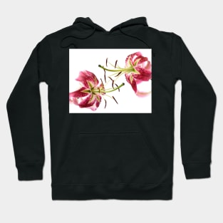 Lily Hoodie